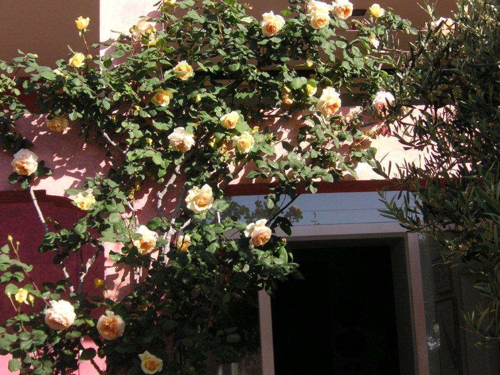 Rocca Castello Bed and Breakfast Ταορμίνα Εξωτερικό φωτογραφία